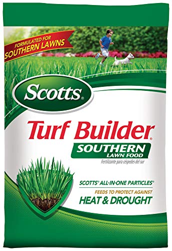 fertilizer for st augustine