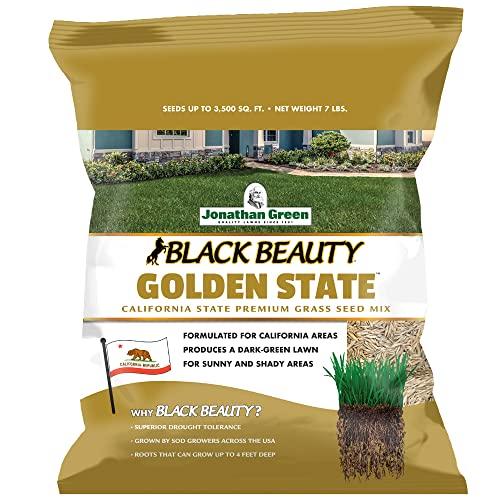 grass for southern california