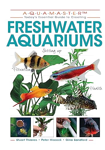aquarium fish for beginners
