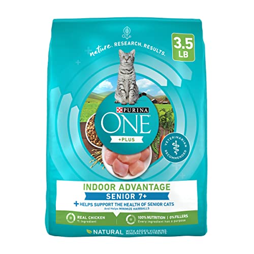 cat food for older cats