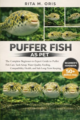 pet fish for beginners