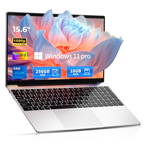 laptop for law school