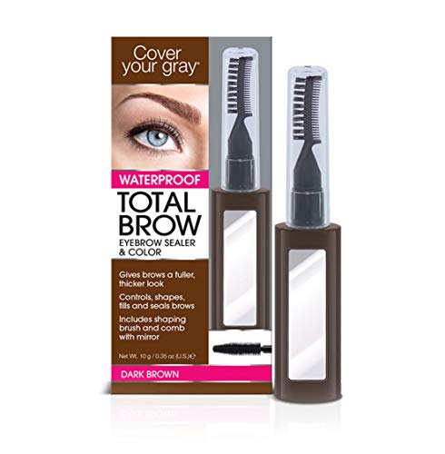 eyebrow color for gray hair