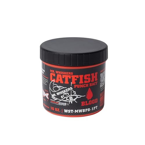 bait for catfish in lakes