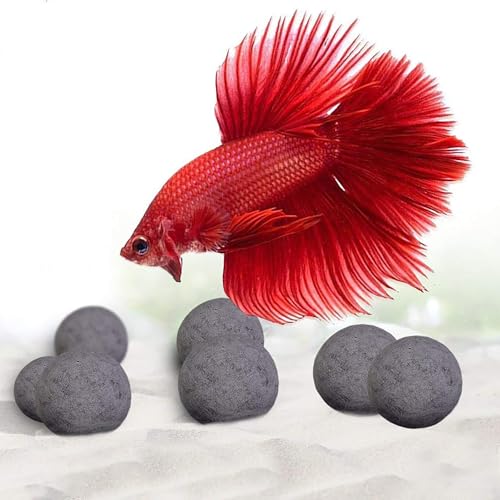 tank mates for betta