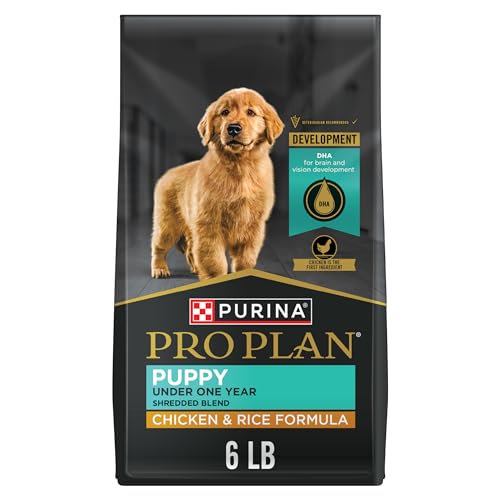 food for goldendoodle puppy