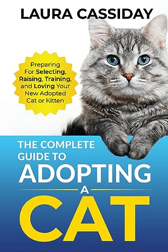 cat breeds for first-time owners