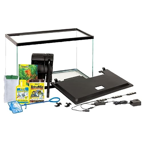 fish for 10 gallon tank