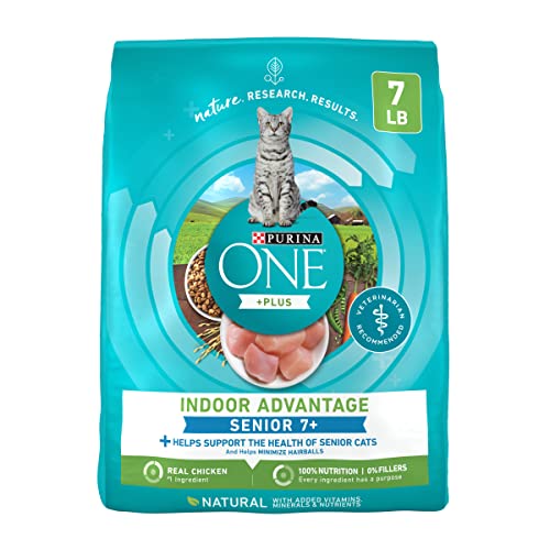 cat food for senior cats